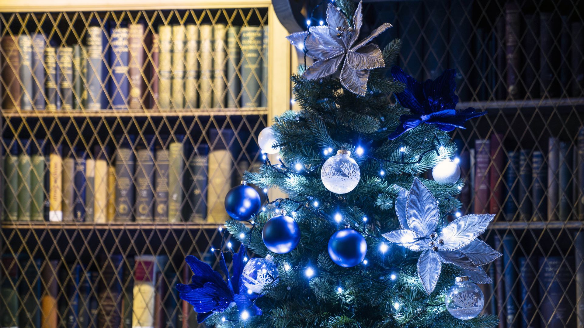 A christmas tree in the College